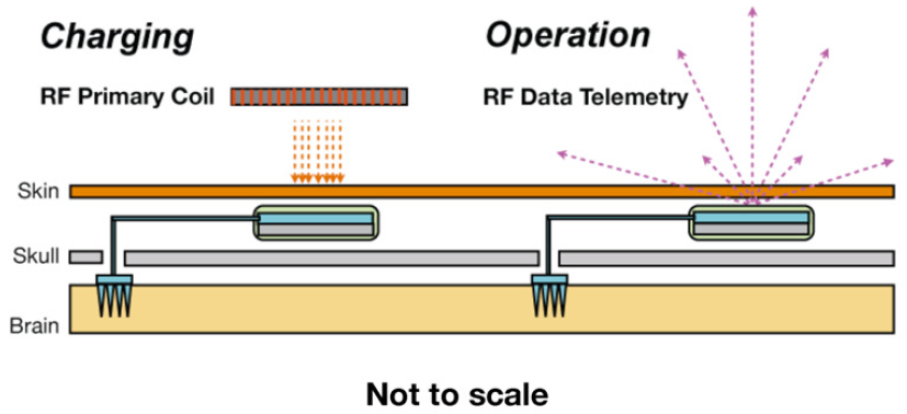 100-channel microsystem