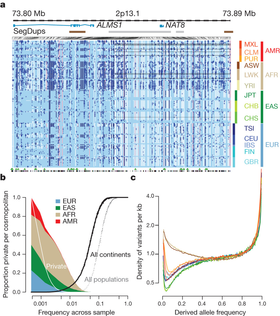 1000_genomes_distribution_variants