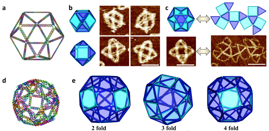 3-D wire-frame Archimedean solid structures