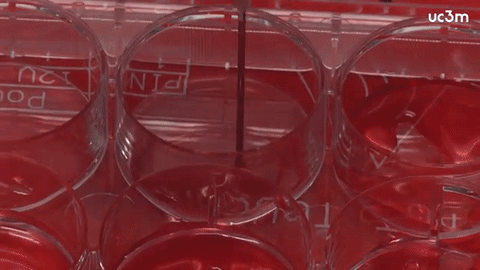 3D skin bioprinter
