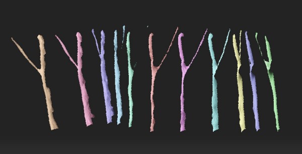3d-scans-of-a-nerve