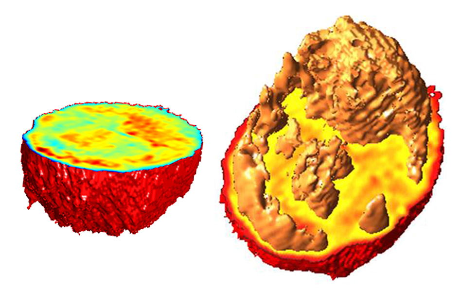 3d_images_living_cells 3d_images_living_cells