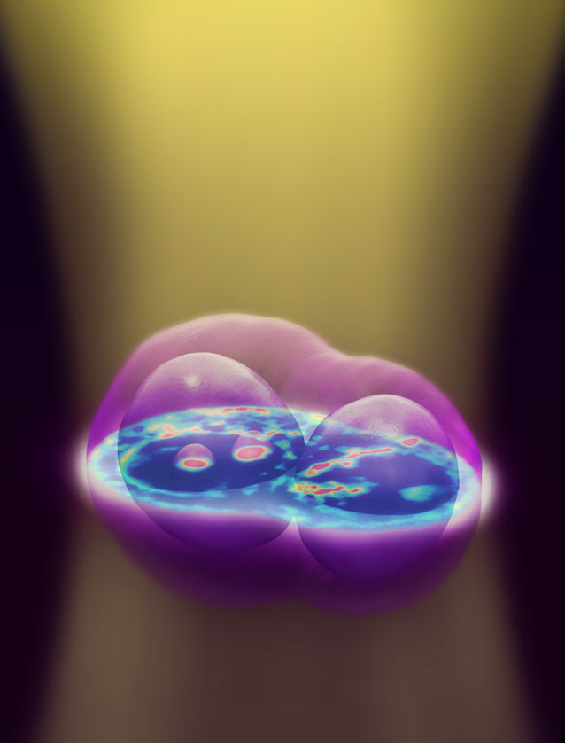 3d_imaging_living_cells 3d_imaging_living_cells