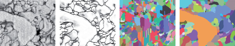 Automatic segmentation and contact
