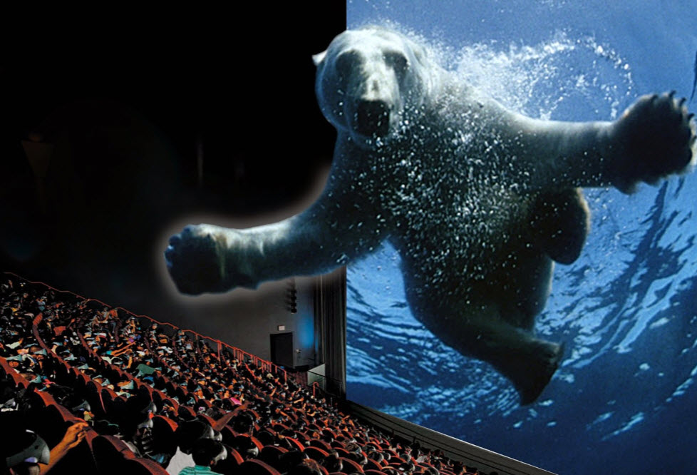 Bear - IMAX