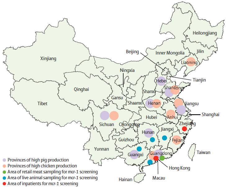 China pig and chicken production