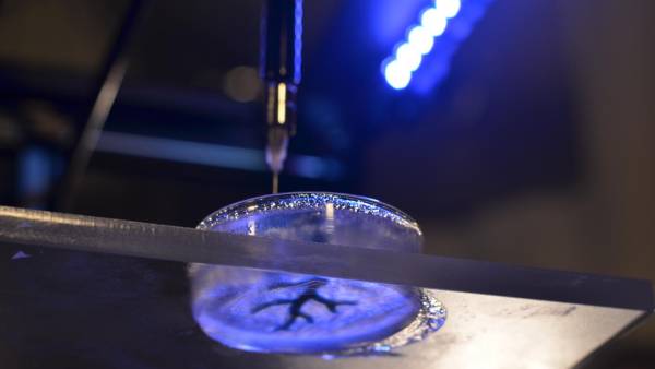Coronary artery structure 3-D bioprinted