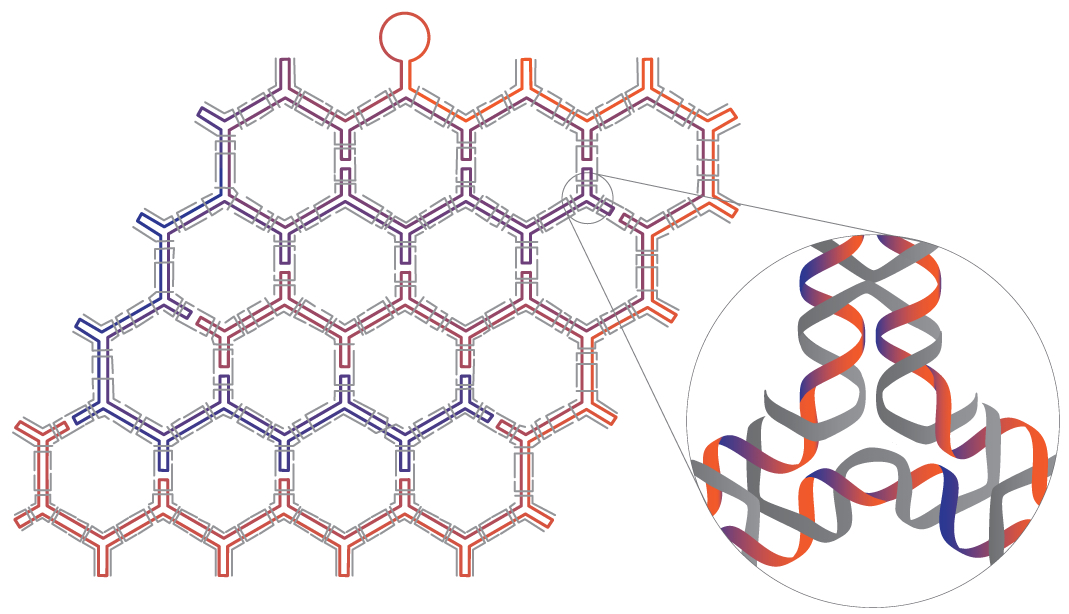 DNA orgigami nanostructure
