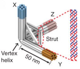 DNA-origami-tripod