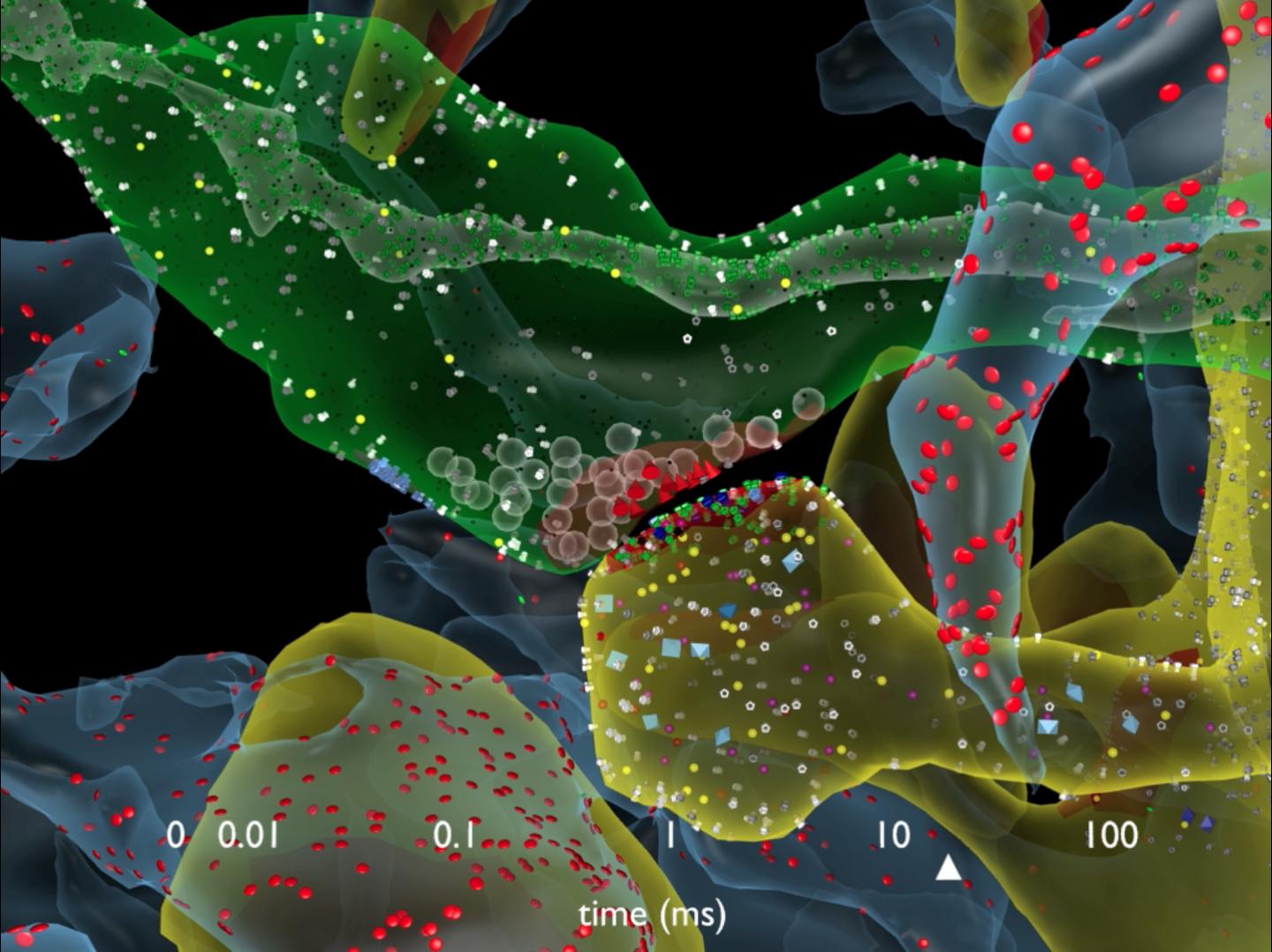 Data from the Salk Institute Shows Brain's Memory Capacity Is in the Petabyte Range, as Much as Enti