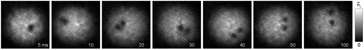 Decay of the doubly quantized vortex
