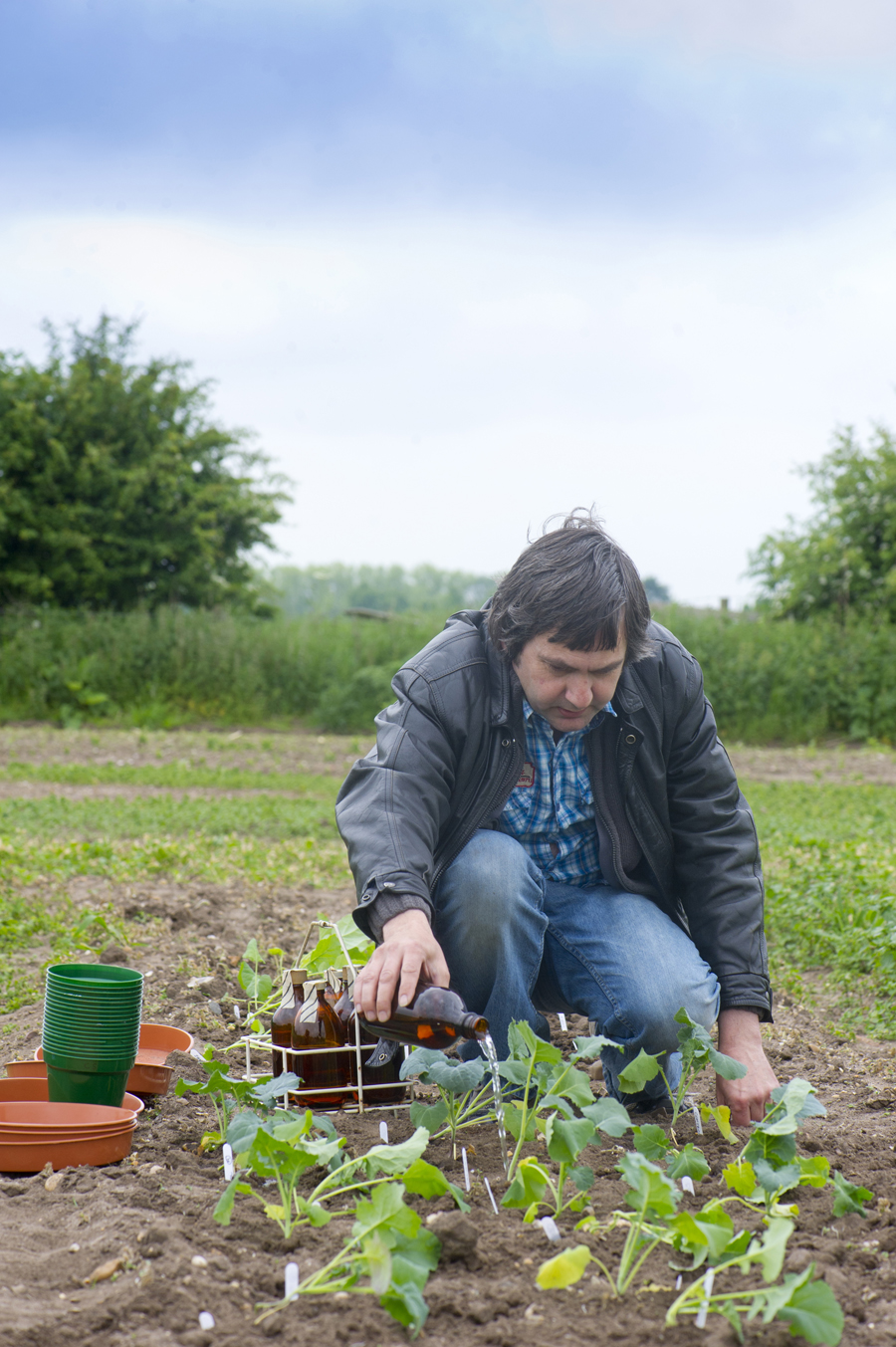 Dr Philip Stone from The University of Nottingham tending to the plants undergoing the atmospheric nitrogen fixation trials