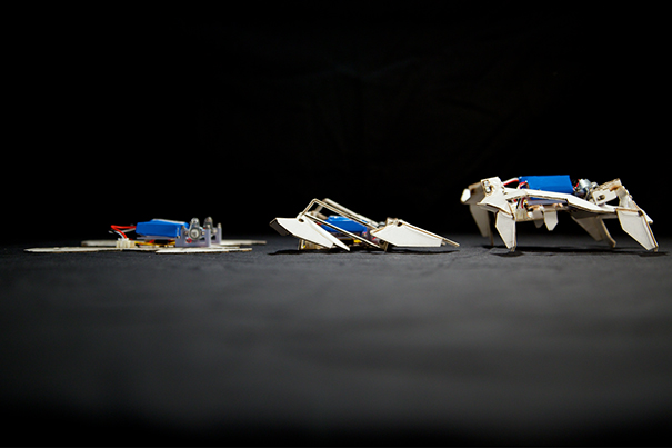 Dramatic_Robots_605