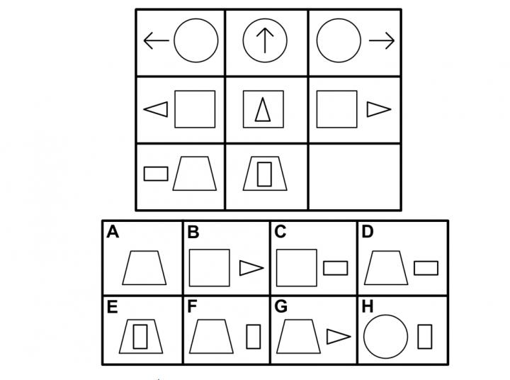 Example Question from Raven's Test