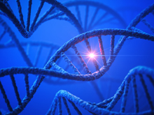 Genome with mutation