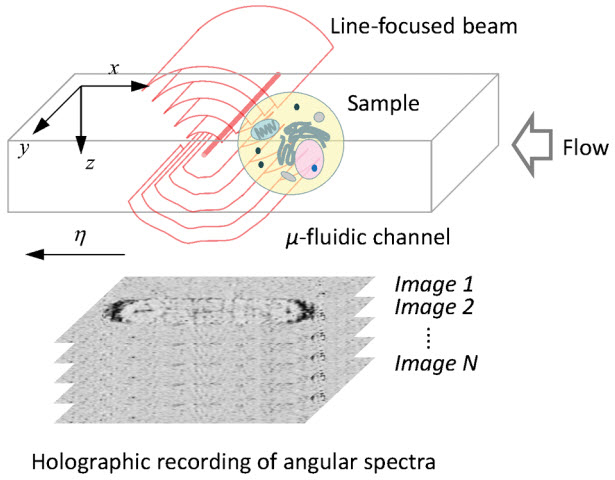 Holographic-recording-of-cells