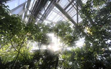 LASR-tropical-high-bay_21-12r_372x233