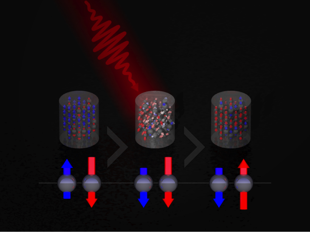 Magnetic-Reversal Magnetic Reversal