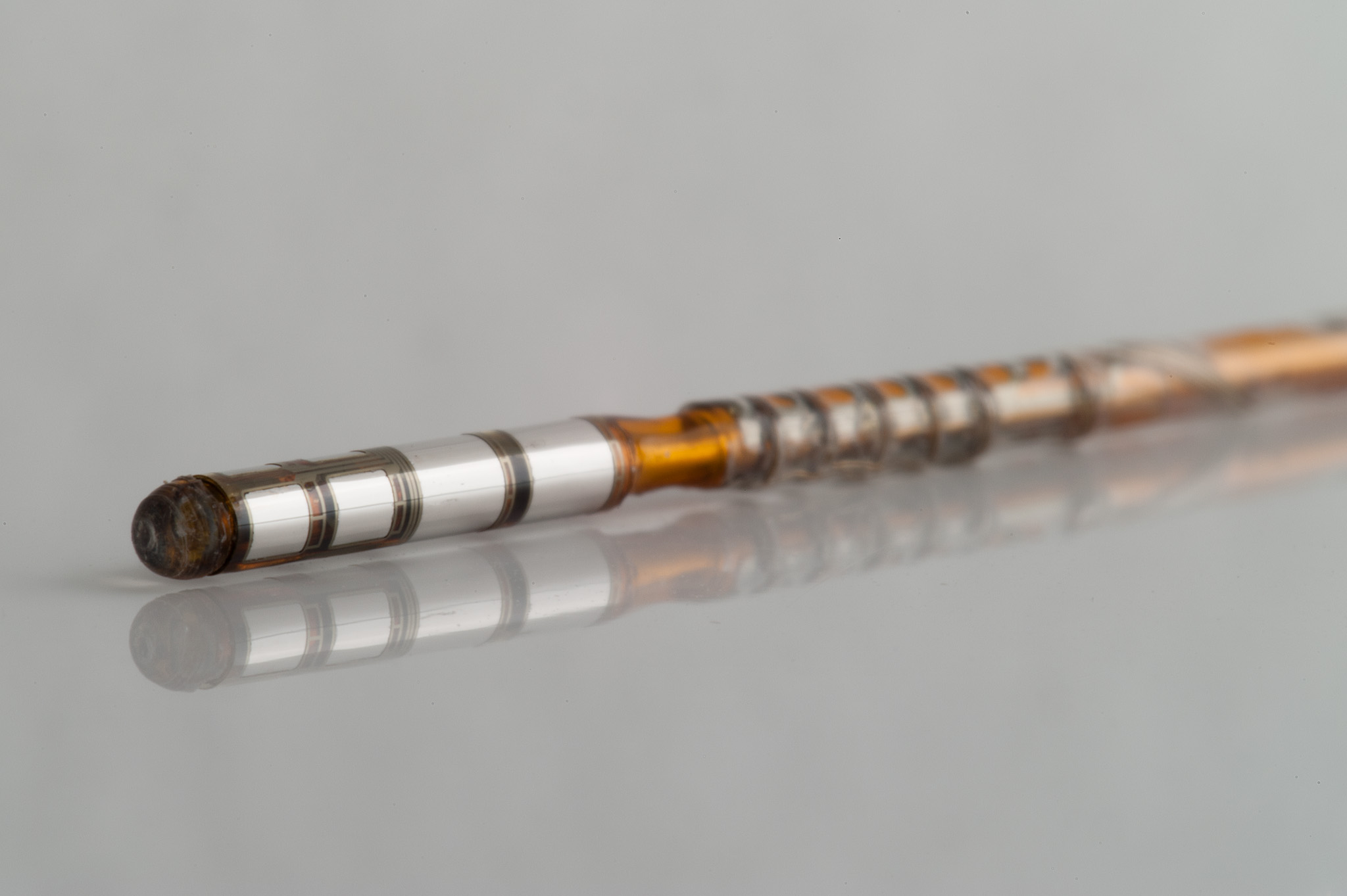Microelectode_Enhanced_Probe Microelectode_Enhanced_Probe
