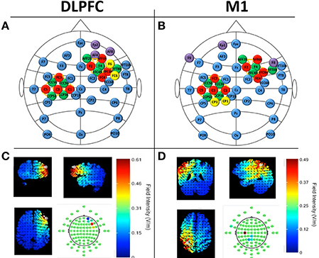 Neuroimaging and tDCS experimental setup