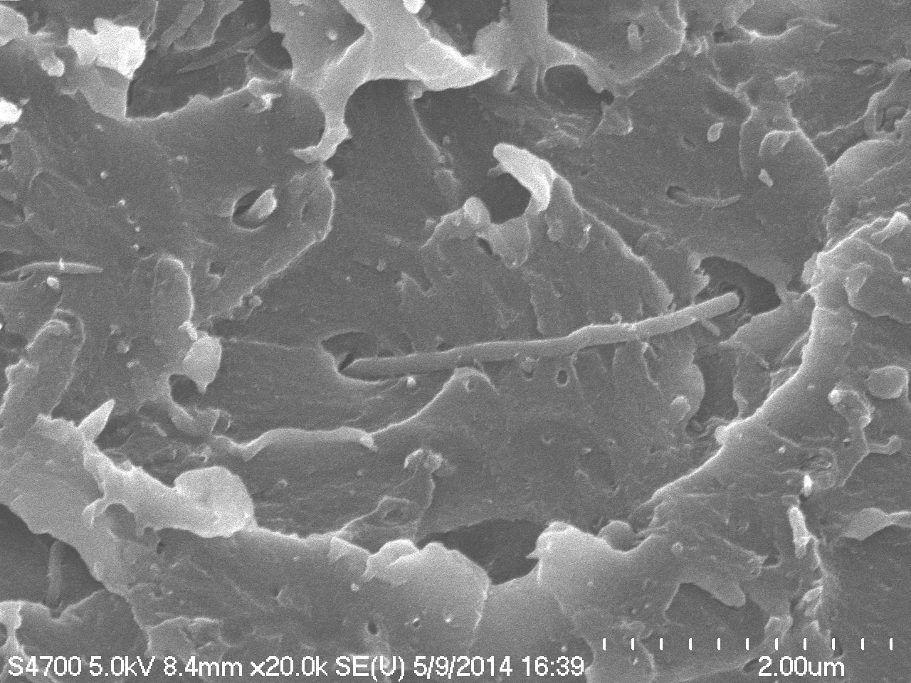 New Ultra-Strong Polymer Reinforced with Carbon Nanotubes