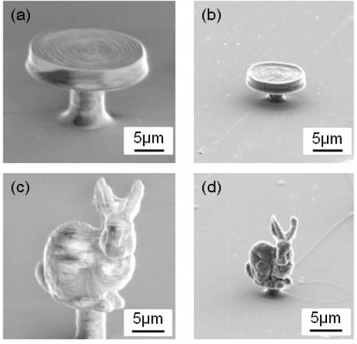 OMEx_-_microbunny_-_Fig1