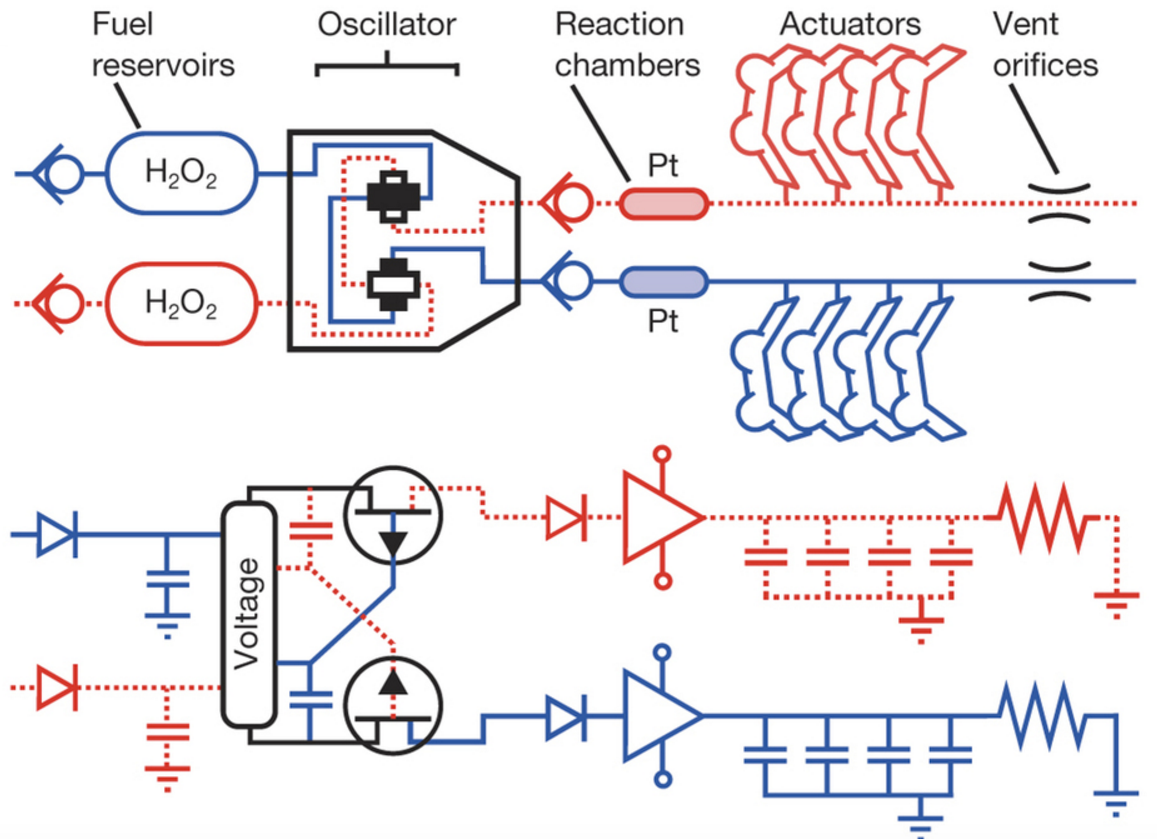 Octobot control logic