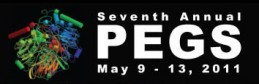 PEGS Conference 2011 logo