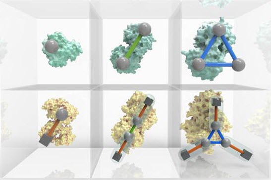 Periodic-Table-of-Protein Complexes