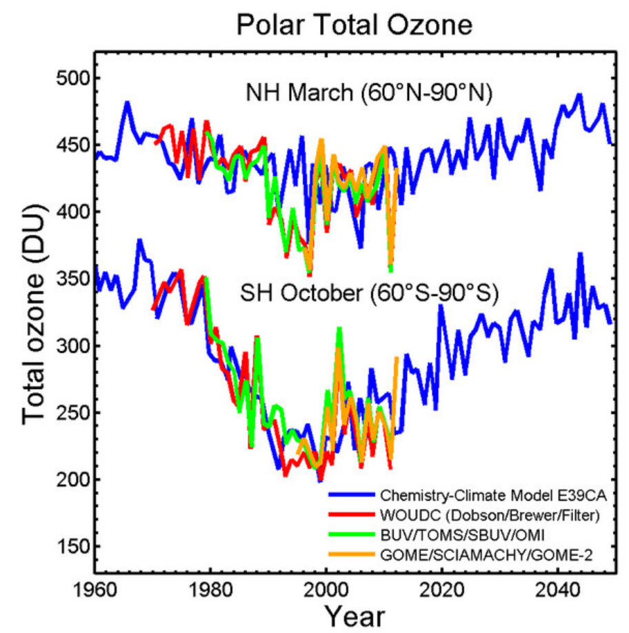 Polar total ozone