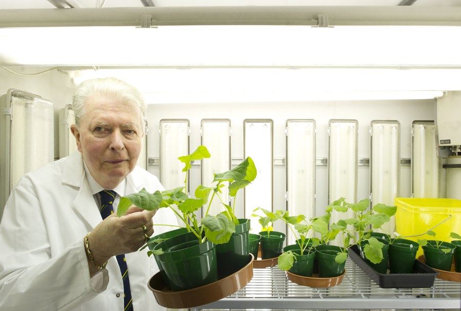 Professor Ted Cocking from University of Nottingham with a plant grown using nitrogen fixation N Fix technology
