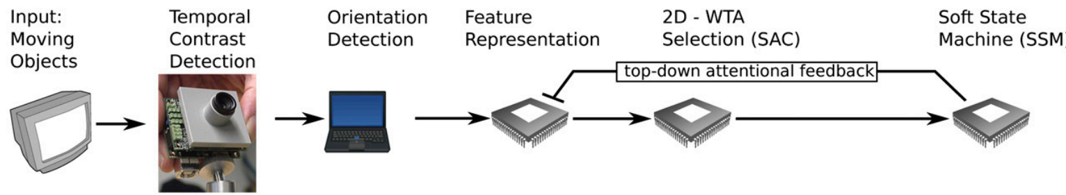 Real-time neuromorphic agent