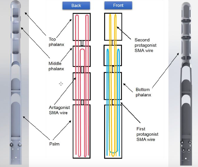 SMA wires