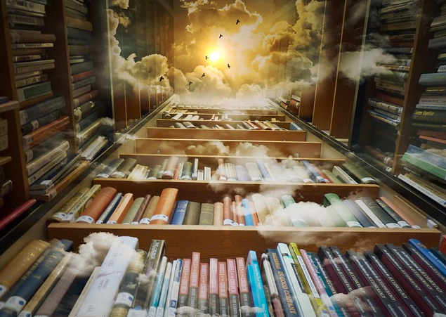Wikipedia fantasy library