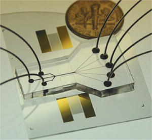 acoustic_cell_sorting_chip acoustic_cell_sorting_chip