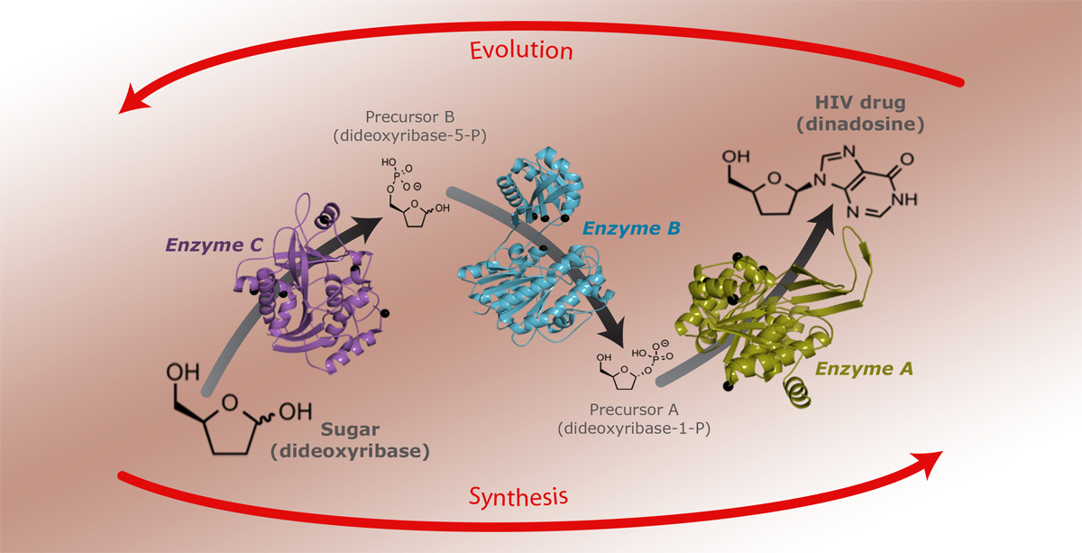 bioretrosynthesis_R7hires bioretrosynthesis_R7hires