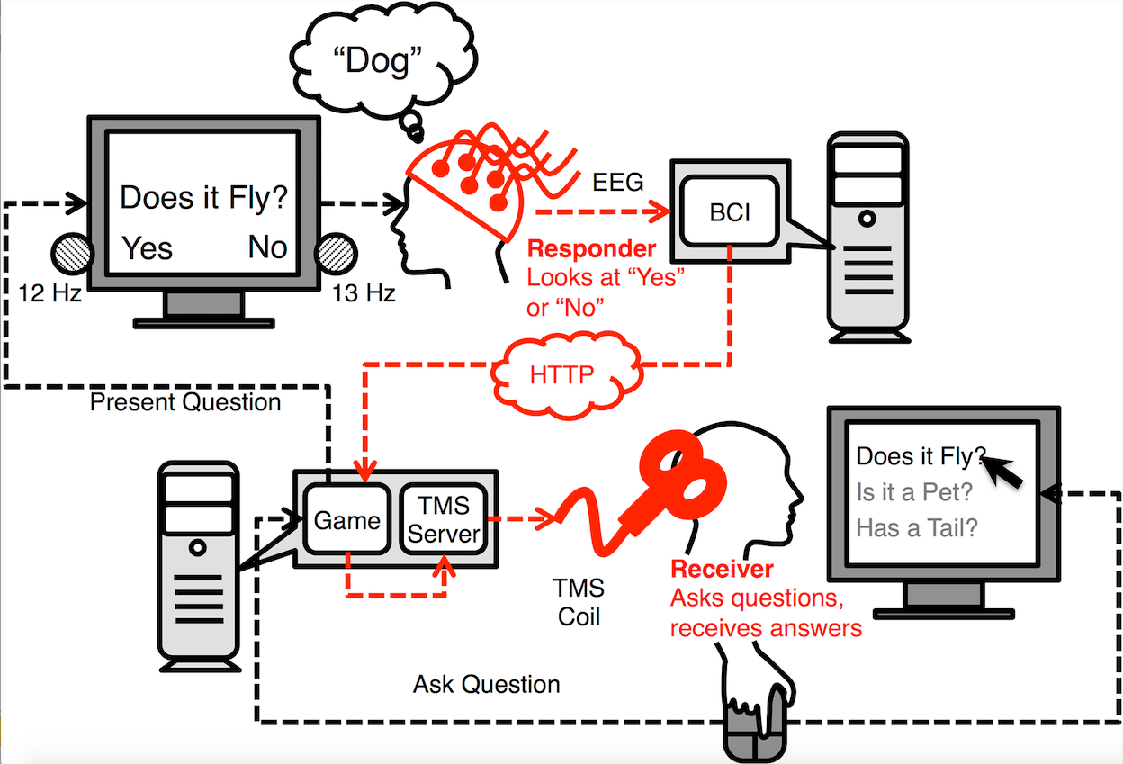 brain-to-brain communication process