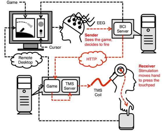 brain-to-brain schematic
