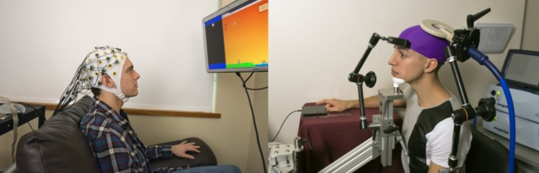 brain-to-brain transmission