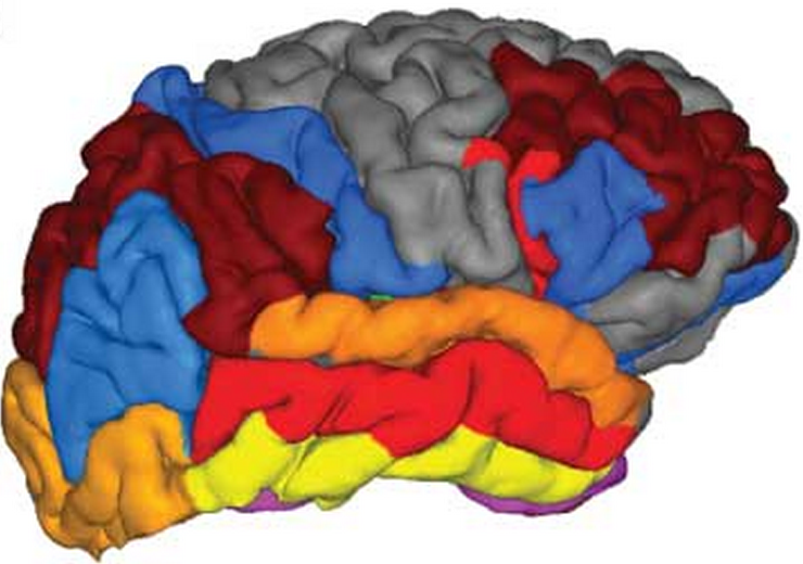 brain_regions