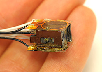 brain_sensor