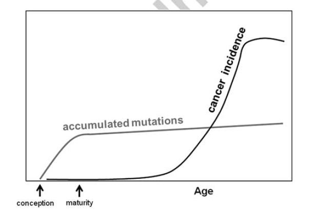 cancer_mutations_degregori