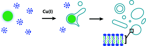 catalyticbiomimeticcoupling catalyticbiomimeticcoupling