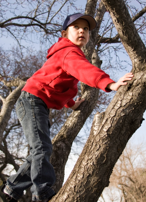 climb a tree