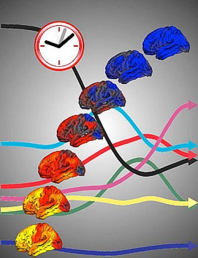 developmental_clock_ucsd developmental_clock_ucsd