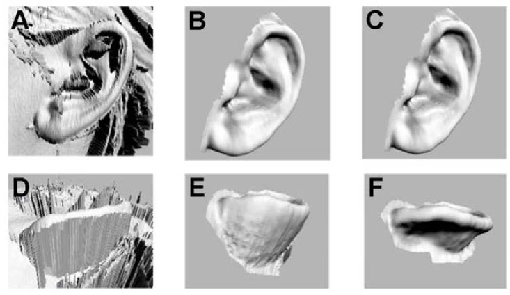 digitized process for human ears