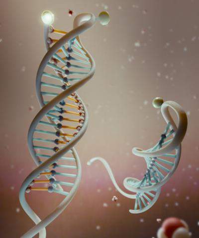 dna_nanosensor dna_nanosensor