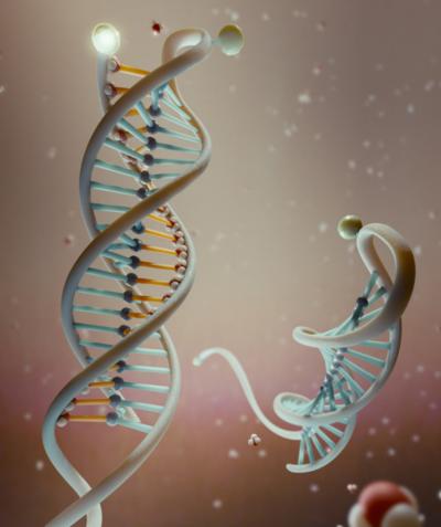 dna_nanosensor