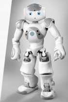 NaoBOT robot