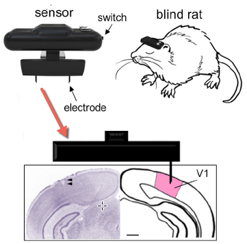 geomagnetic sensor system
